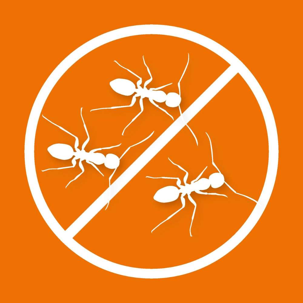 ARDAP Ameisen Spray (400 ml) – Bild 3