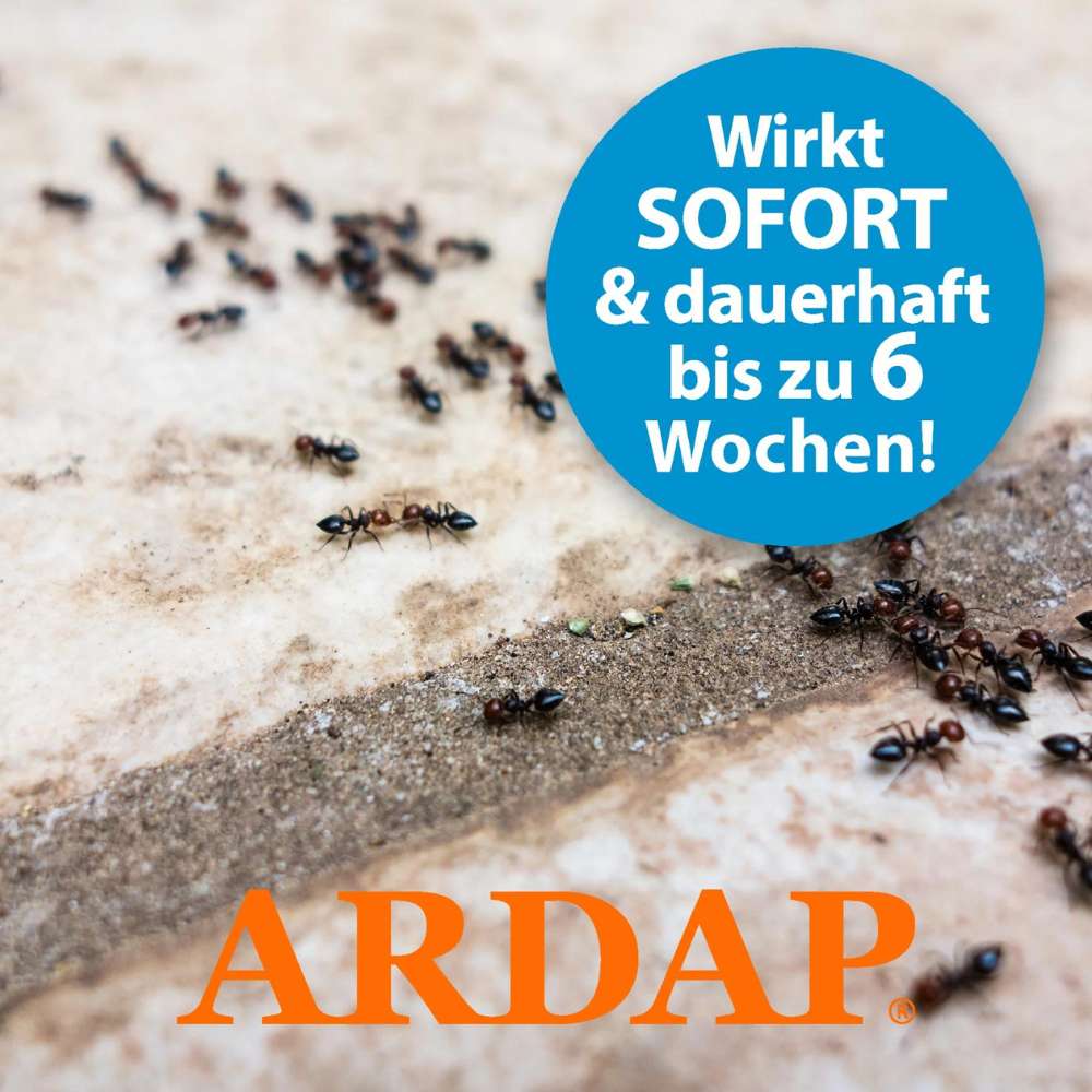 ARDAP Ameisen Spray (400 ml) – Bild 4