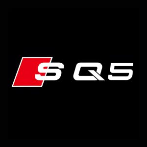 2Stk Audi SQ5 Türbeleuchtung