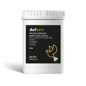 Aviform Protein Perform 500g – 84% Eiweiß