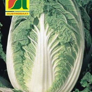 Chinakohl Yuki Austrosaat