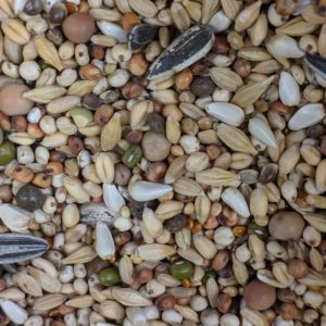 Vanrobaeys Kurzschnäblerfutter 20 kg (Versandkostenfrei)