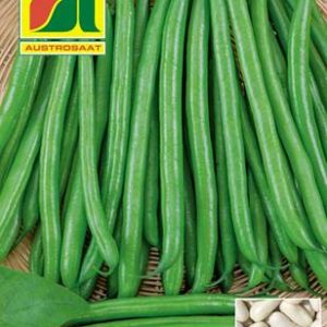 Gartenbohne Domino Austrosaat