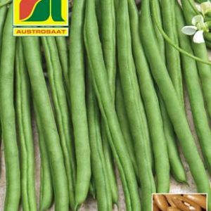 Gartenbohne Maxi Austrosaat