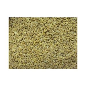 Vanrobaeys Gerste Nr. 81 25kg (Versandkostenfrei)