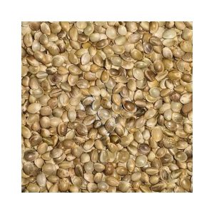 Vanrobaeys Hanf Nr. 167  15kg (Versandkostenfrei)