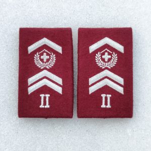 Schulterpatten (04) Adjutant Grenzwachtregion II Set