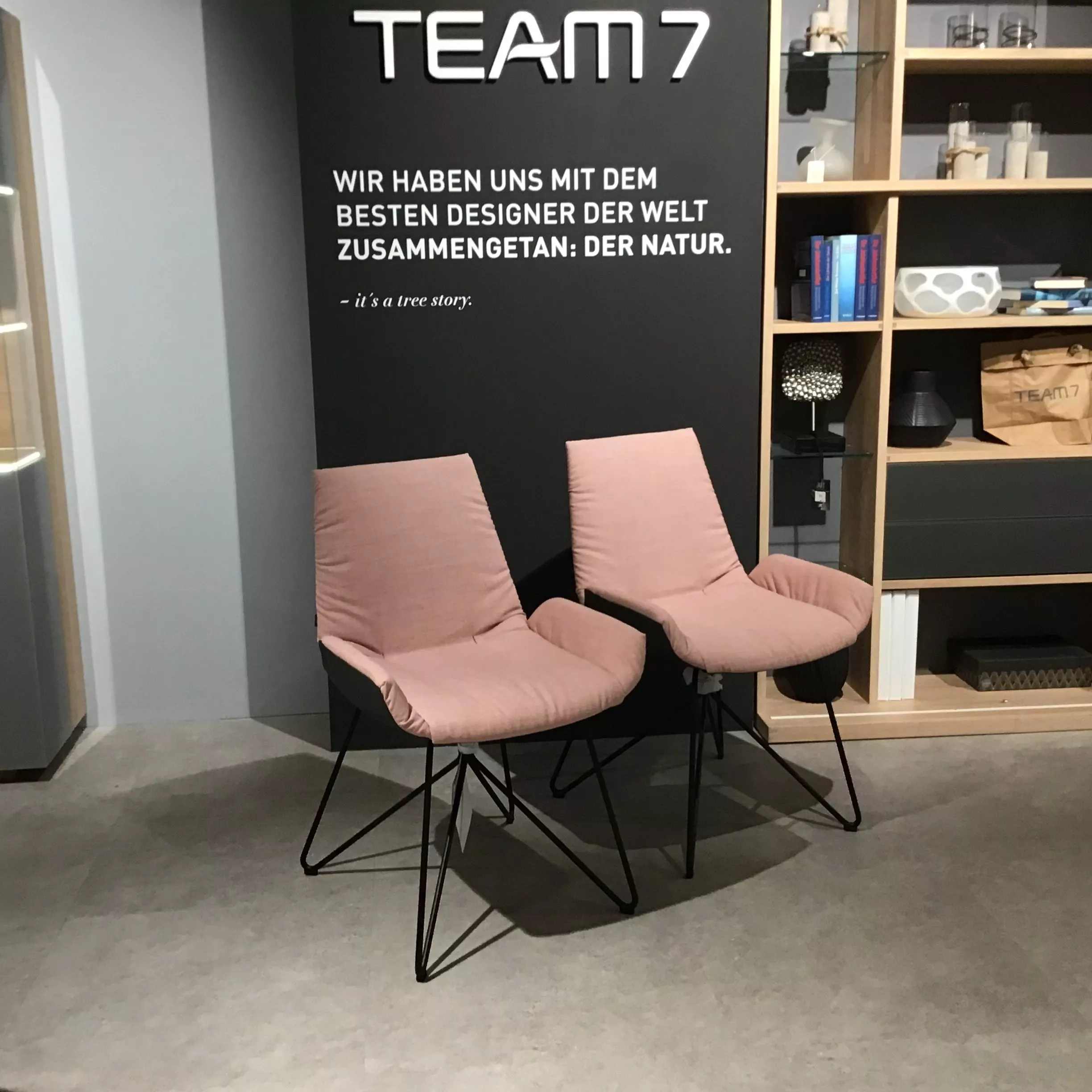 Team 7 Lui Stuhlgruppe – Abverkauf Weil am Rhein – Bild 3