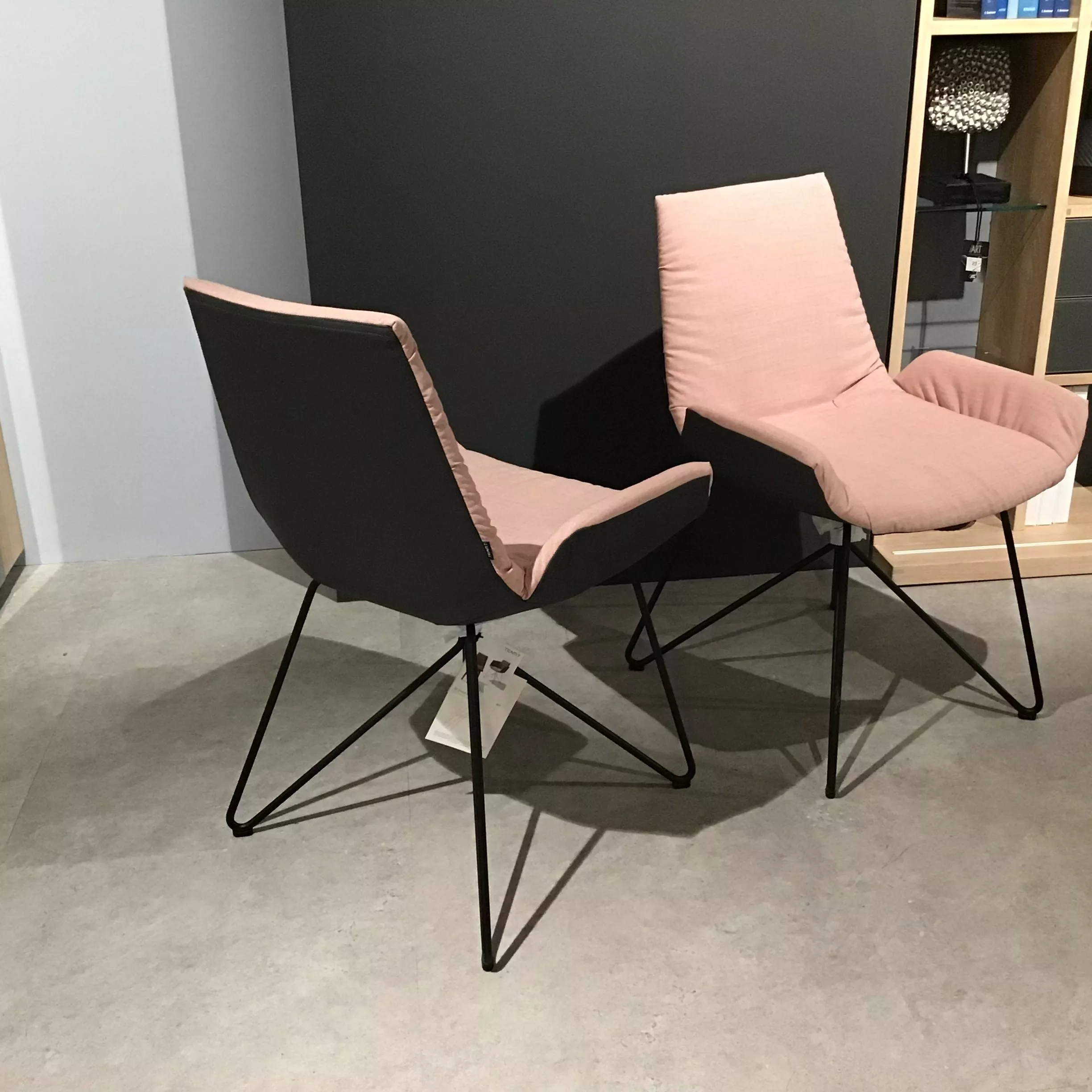 Team 7 Lui Stuhlgruppe – Abverkauf Weil am Rhein – Bild 4