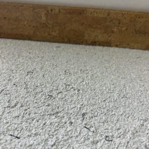 13 Stück Korkleiste massiv -Paranova unbehandelt