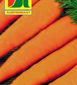 Karotte Rote Riesen Austrosaat