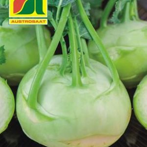 Kohlrabi Lanro Austrosaat