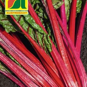 Mangold Rhubarb Chard Austrosaat