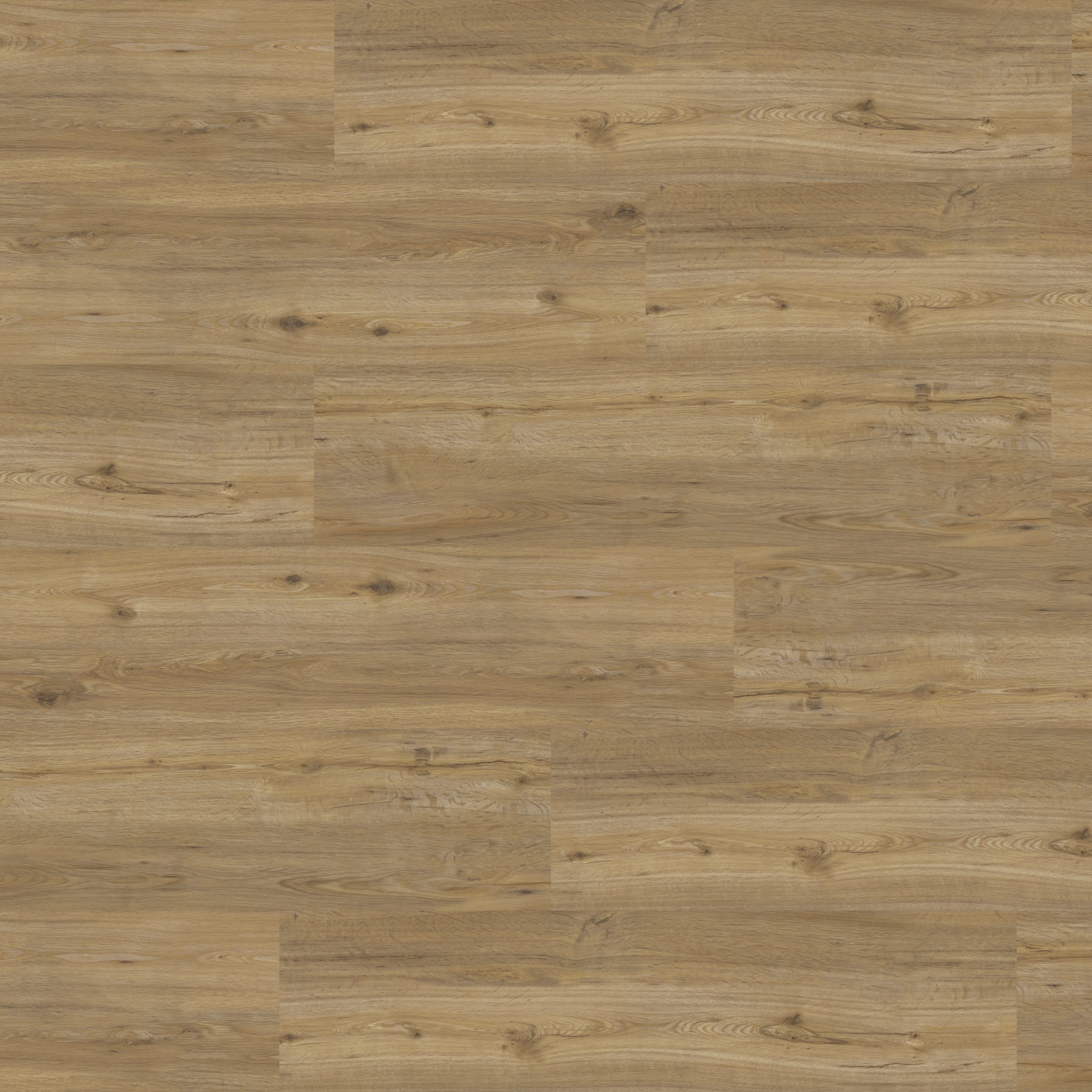 Modico El Torro Ceracorflex – Walderle