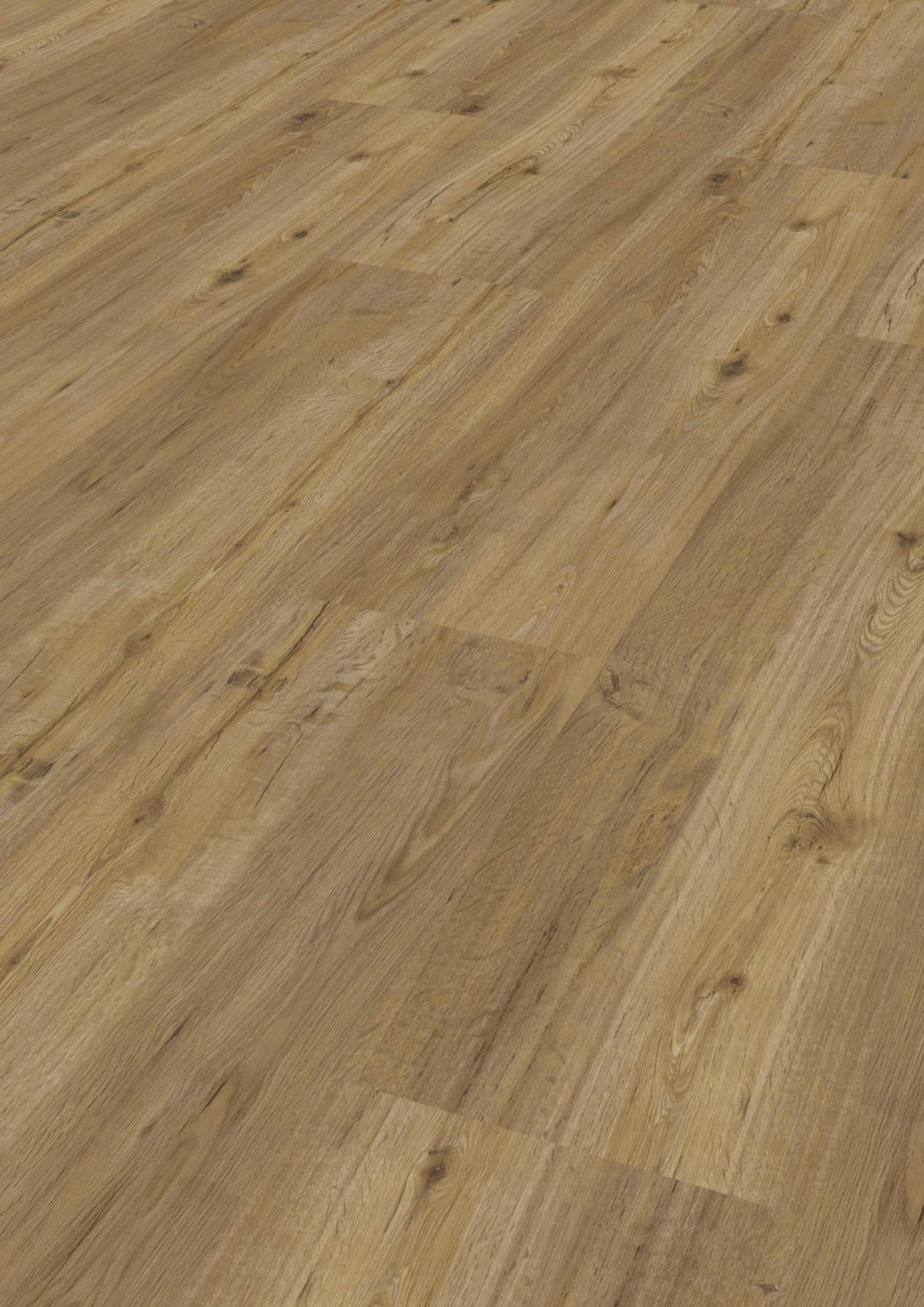 Modico El Torro Ceracorflex – Walderle – Bild 2