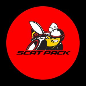 Dodge Scat Pack Türbeleuchtung für Charger Challenger