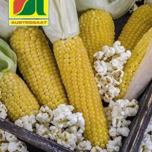 Popcornmais Austrosaat