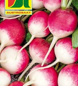 Radieschen Rundes halbrot-halbweiß Austrosaat
