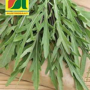Rucola – Wildform Austrosaat