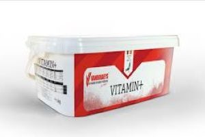 Vanrobaeys Vitamin+ 4kg – Mineralmischung