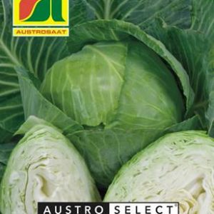 Weißkraut Premstättner Schnitt Austrosaat