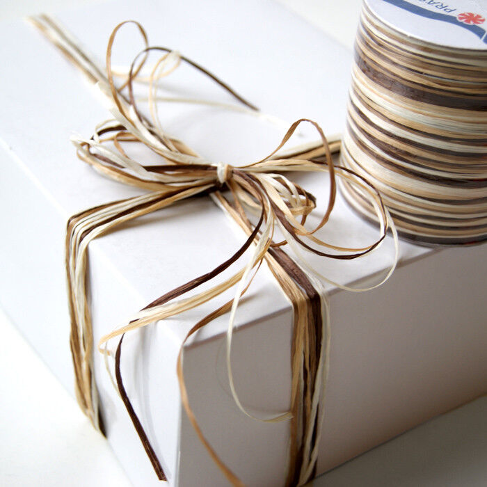 Bastel Raffia Multicolor, 50m, Natur Erdtöne 136-622